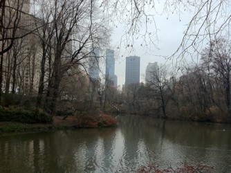 Skyscrapers viewed from Central Park