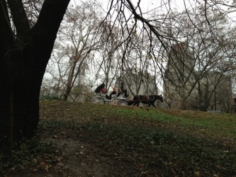 Horse drawn carriages in Central Park