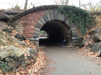 Tunnel in Central Park