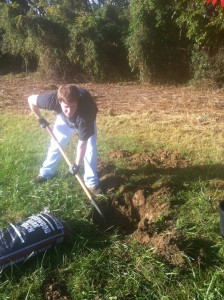 Chad Wagner works hard planting trees at Herring Run Park