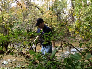 An unexpected bonus - we were able to clean Herring Run Creek