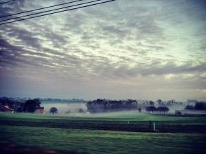 Early morning drive to Baltimore, MD for tree planting