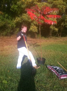 Gramazin plants a sumac tree